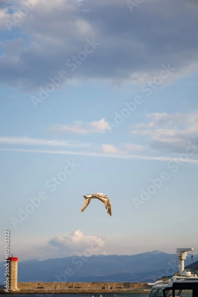 Fototapeta A beautiful view of the sea coast, the mountains are an ideal place for summer vacation. Adriatic Sea.