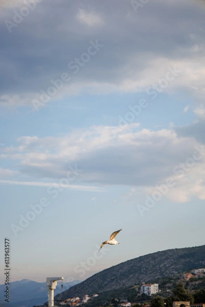 Fototapeta A beautiful view of the sea coast, the mountains are an ideal place for summer vacation. Adriatic Sea.