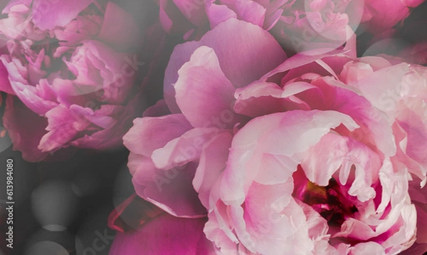 Obraz pink rose flower pattern background