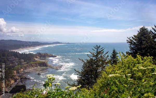 Obraz pacific ocean in oregon