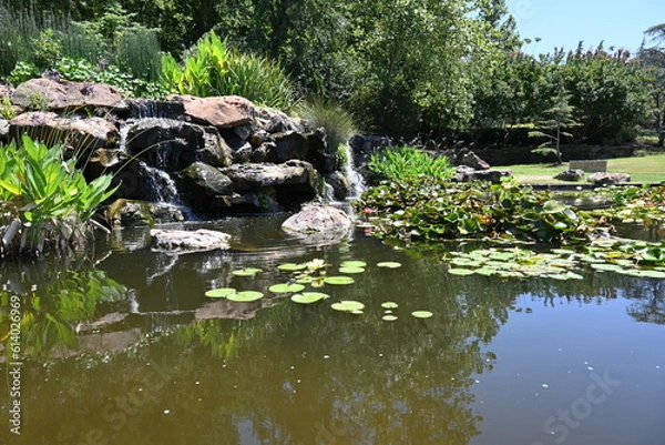 Fototapeta Lake with Water Lilly Pads 