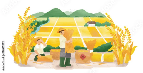 Obraz Farmers tying stalks into sheaves