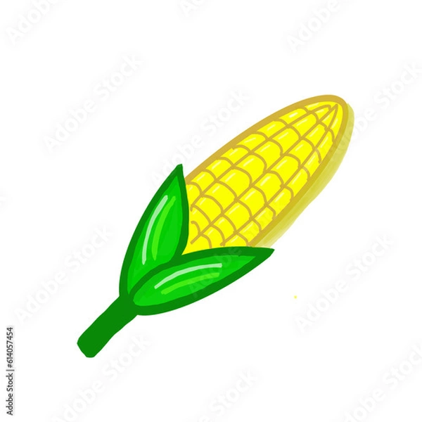 Fototapeta corn on the cob