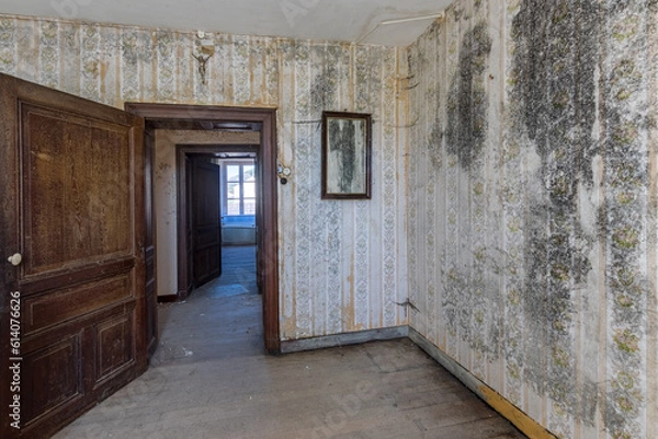 Fototapeta Ein Raum mit starken Schimmelbefall