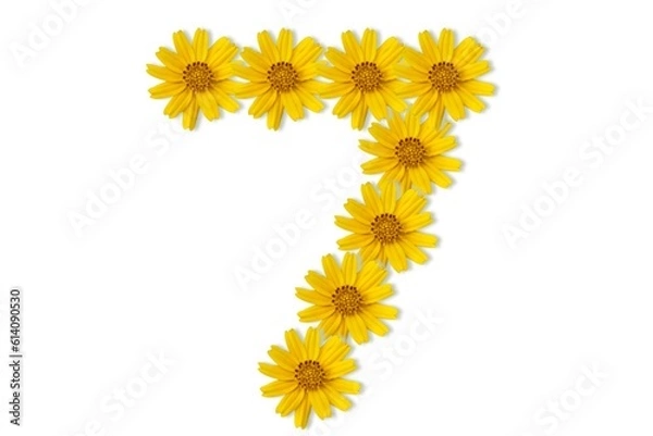 Obraz yellow flowers isolated on white background