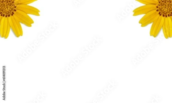 Obraz yellow flower frame