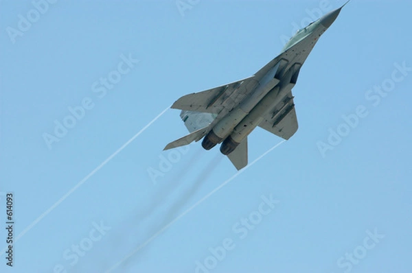 Obraz Joy Fighter EEE