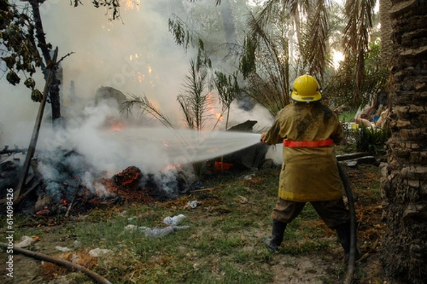 Obraz Firefighters try to put out the fire raging in the trees, farms and palms
