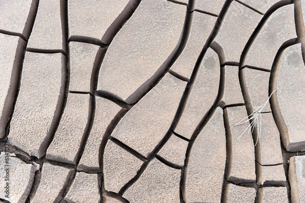 Obraz dryness of the earth from the water resulted in the earth becoming stiff and cracking and drying in the soil
