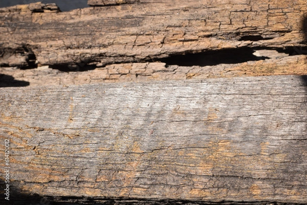 Obraz rotten old wood as background