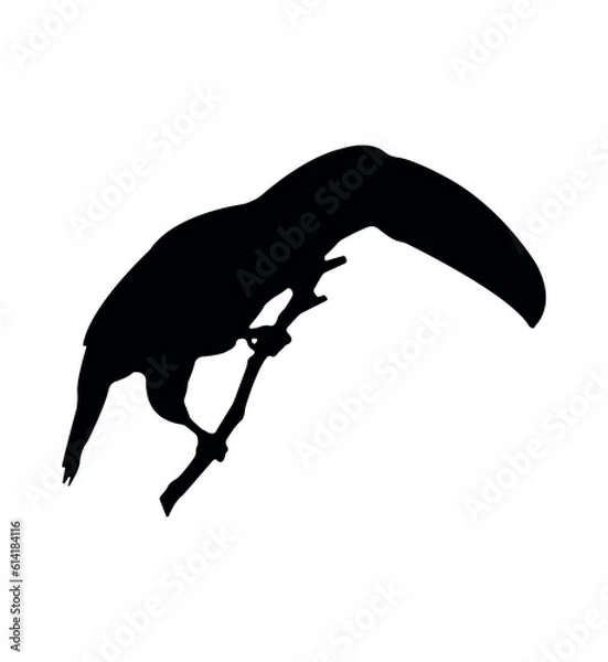 Obraz Vector flat toucan silhouette isolated on white background