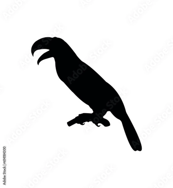 Obraz Vector flat toucan silhouette isolated on white background