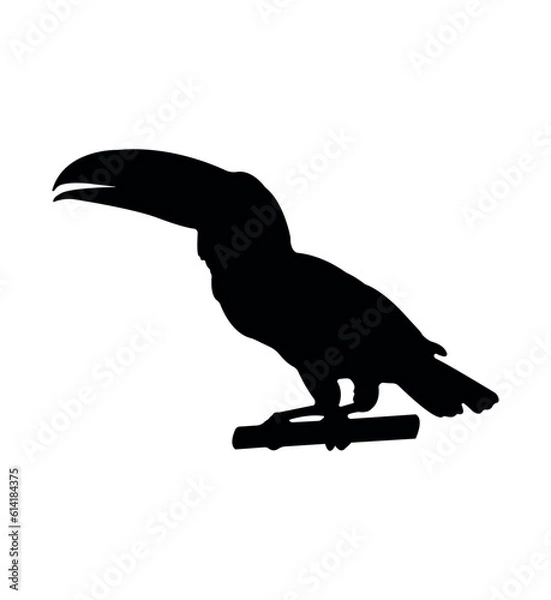 Obraz Vector flat toucan silhouette isolated on white background