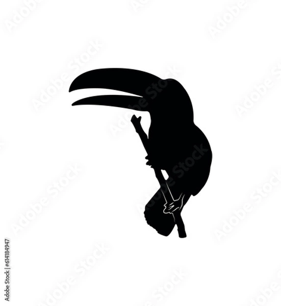 Obraz Vector flat toucan silhouette isolated on white background