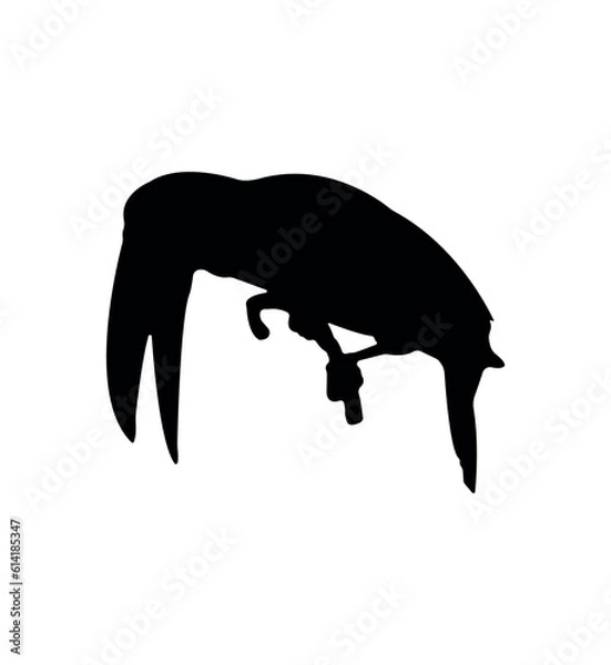 Obraz Vector flat toucan silhouette isolated on white background