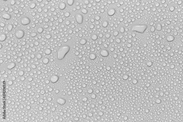 Fototapeta Water droplets on a gray background.