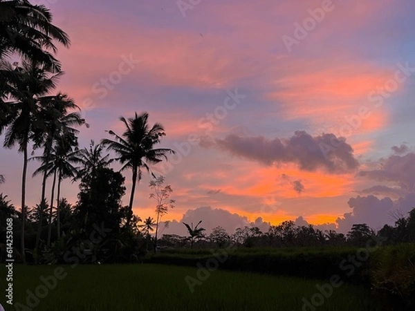 Obraz sunset over the river