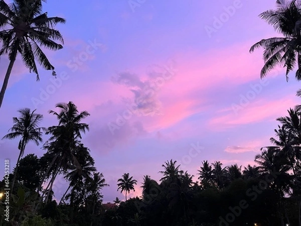 Obraz sunset in the jungle