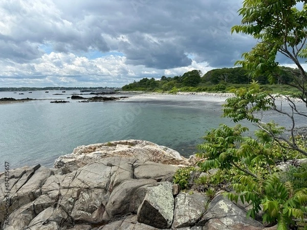 Obraz Overlooking the beach 