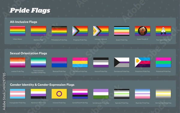 Fototapeta Pride Flags Vector Graphics Grouped with Labels