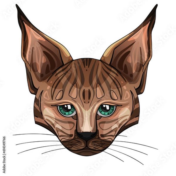 Fototapeta Lynx, frontal view. Vector illustration