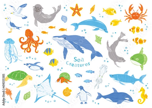 Obraz 海の生き物　イラストセット