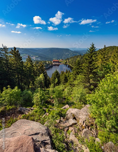 Fototapeta The Mummelsee in the Black Forest surrounded by mountains_Baden-Wuerttemberg, Germany, Europe