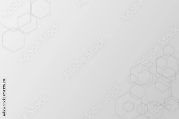 Obraz Geometric background with hexagon surface. Free space for design with template of hex. Line of hexagon.