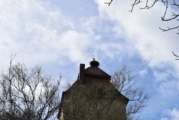 Fototapeta bird’s nest in a tall tower
