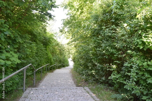 Fototapeta footpath in the park