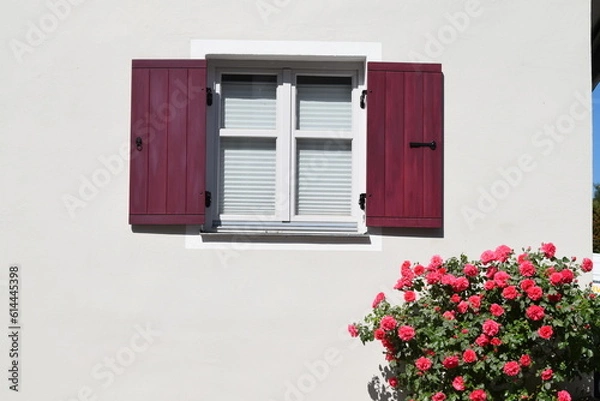 Fototapeta window with pink flowers