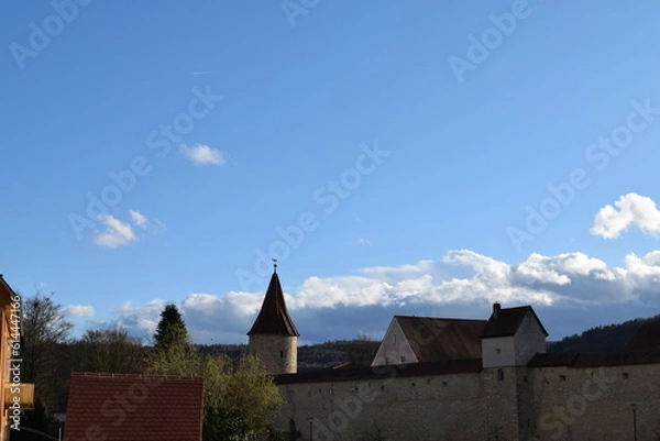 Obraz castle in the city