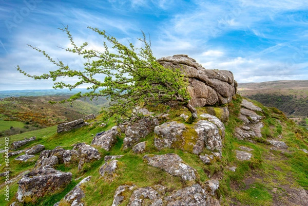Obraz Sharp Tor Dartmoor
