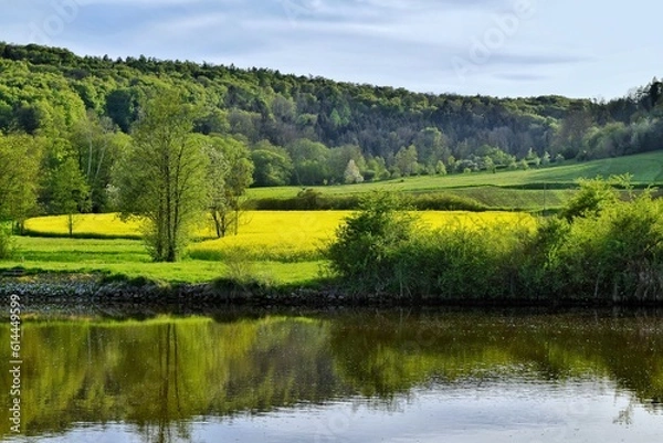 Fototapeta landscape with lake and trees
