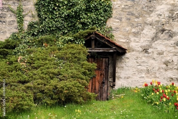 Obraz old house in the woods