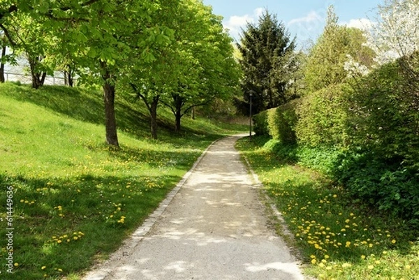 Fototapeta footpath in the park