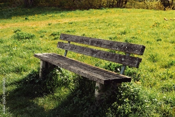 Obraz wooden bench in the park