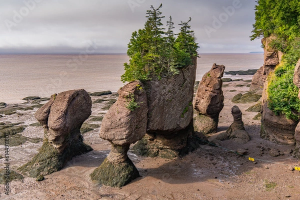 Fototapeta Hopewell Rocks at Low Tide