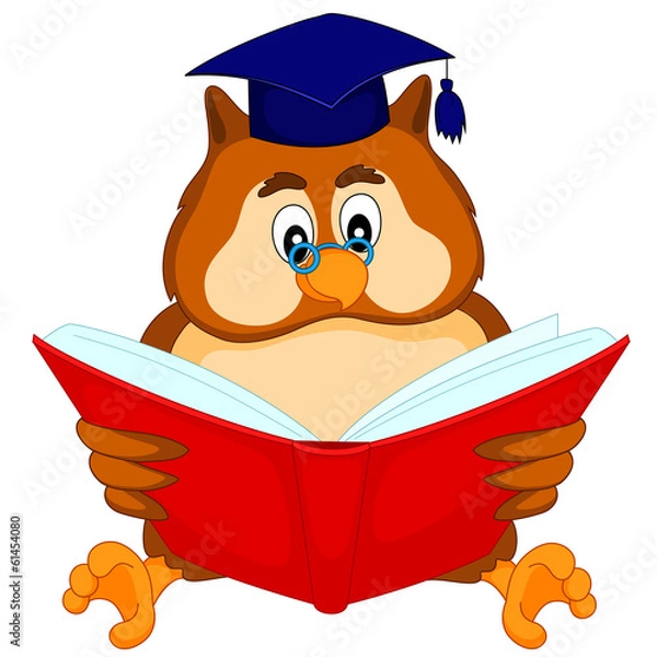 Obraz owl reading a book