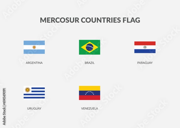 Fototapeta Mercosur Countries Rectangle flag icon set.