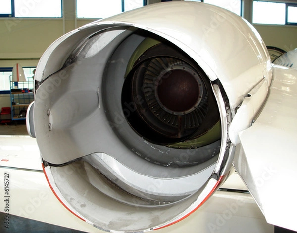 Obraz thrust reverser