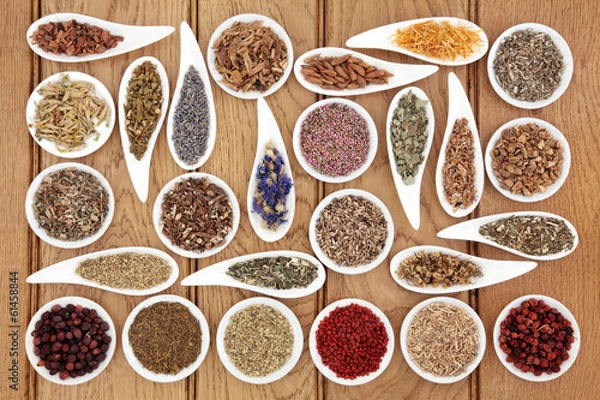 Obraz Herbal Medicine