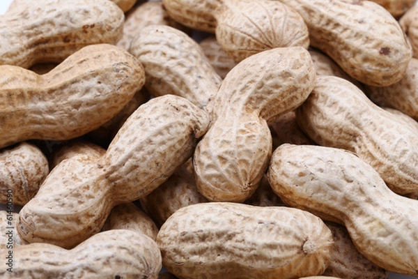 Fototapeta 落花生