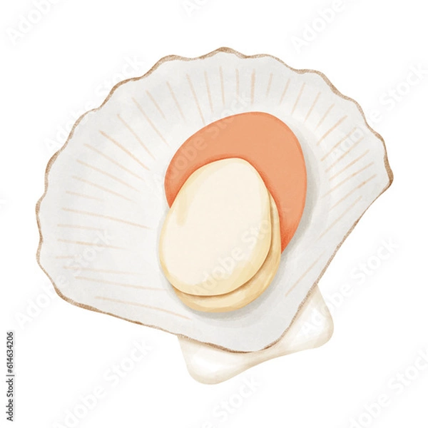 Fototapeta Fresh scallop shell. Seafood.The menu design element of a fish restaurant, market or store.
