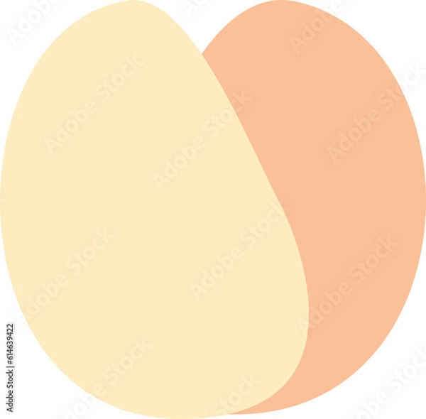 Fototapeta tulip flower