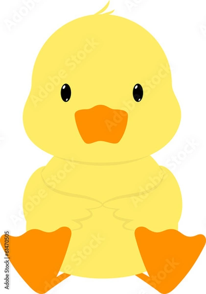 Fototapeta Duck
