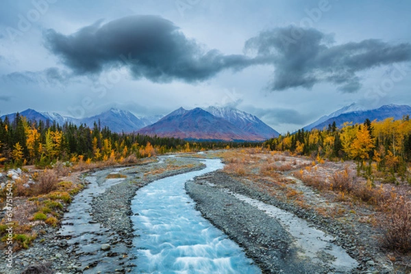 Fototapeta Landscape with mountains, boreal forest in autumn colors and river in the blue hour before sunrise, Yukon territory, Canada