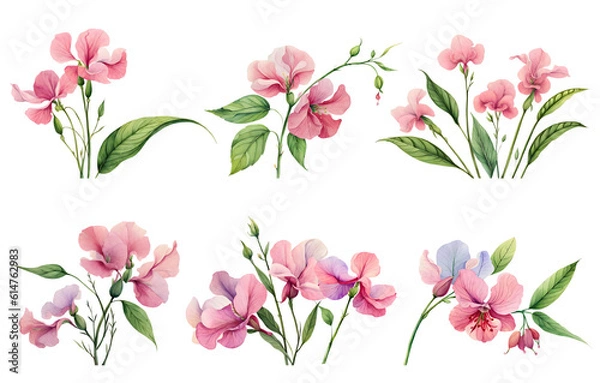 Fototapeta Watercolor sweet pea set. Generative Ai