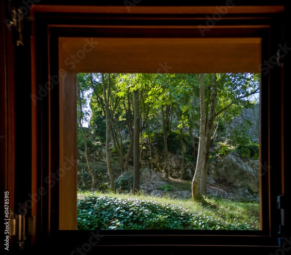 Fototapeta view through the window