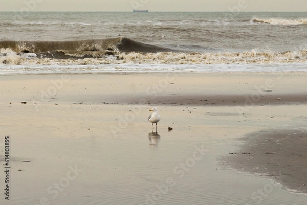 Obraz footprints in the sand